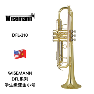 WISEMANN（维斯曼）DFL系列学生级漆金小号 DTR-200