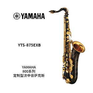 YAMAHA(雅马哈) 定制型次中音萨克斯 YTS-875EXB