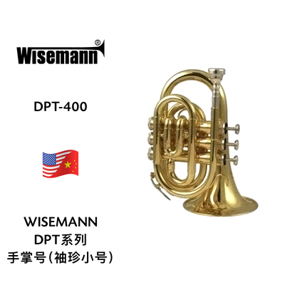 WISEMANN（维斯曼）手掌号（袖珍小号） DPT-400