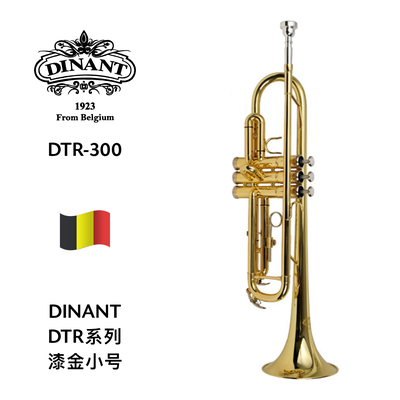 DINANT（迪南）DTR系列漆金小号 DTR-300